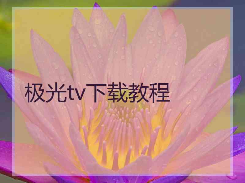 极光tv下载教程