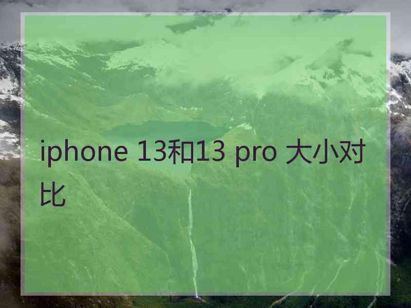 iphone 13和13 pro 大小对比