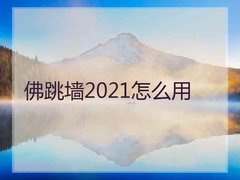 佛跳墙2021怎么用