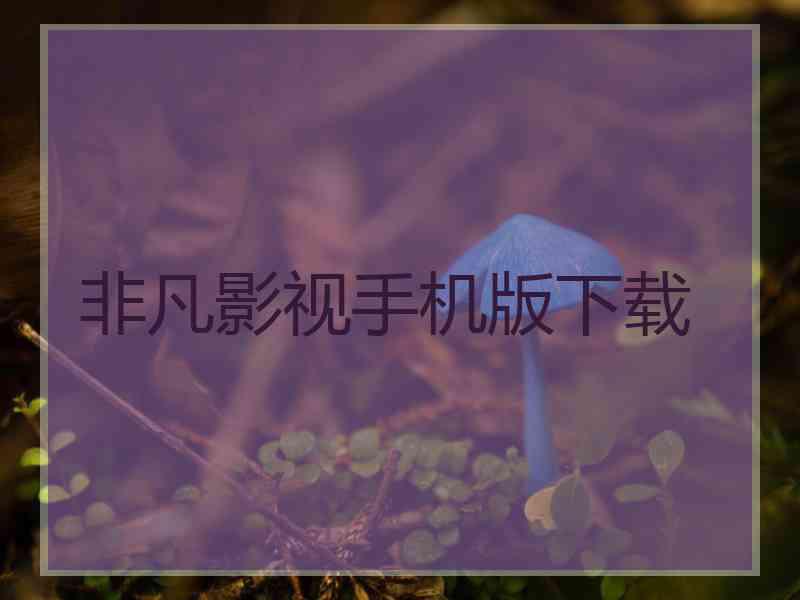 非凡影视手机版下载