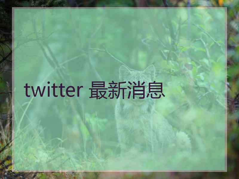 twitter 最新消息