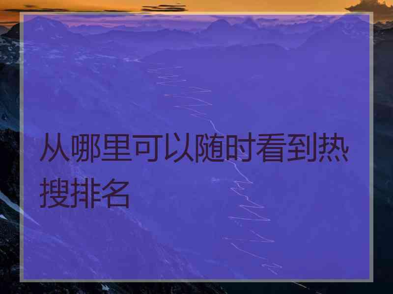 从哪里可以随时看到热搜排名