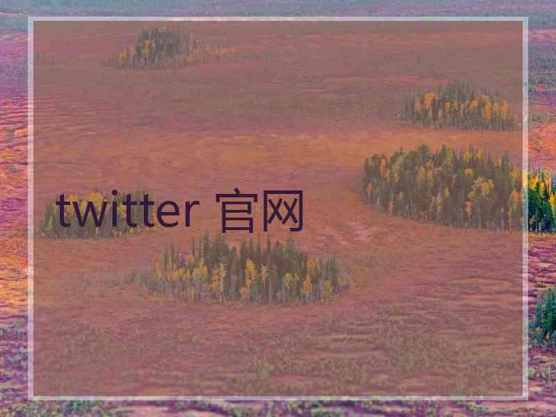 twitter 官网