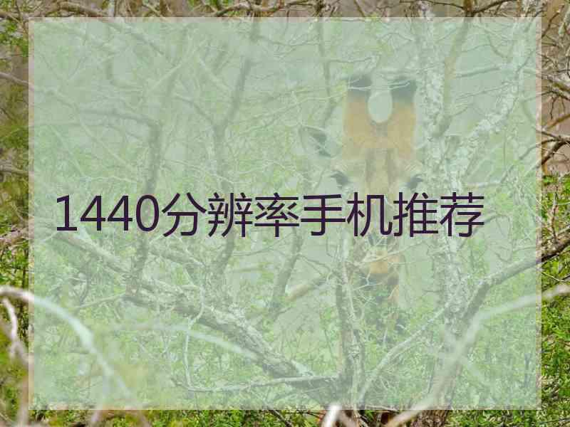 1440分辨率手机推荐