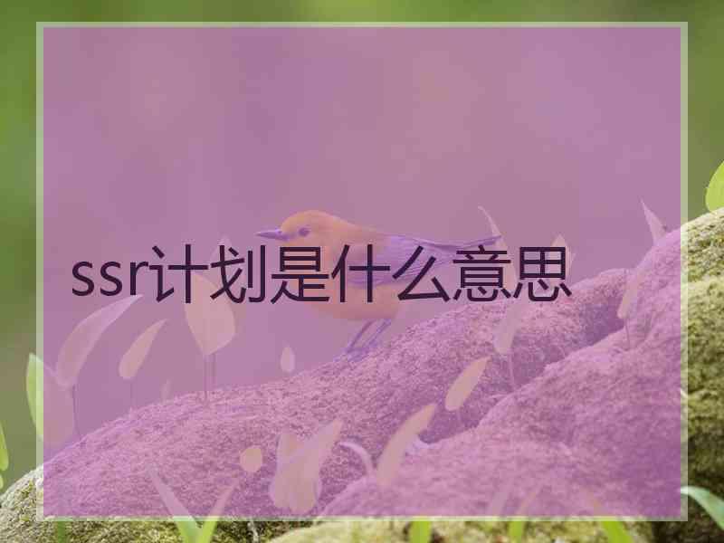 ssr计划是什么意思