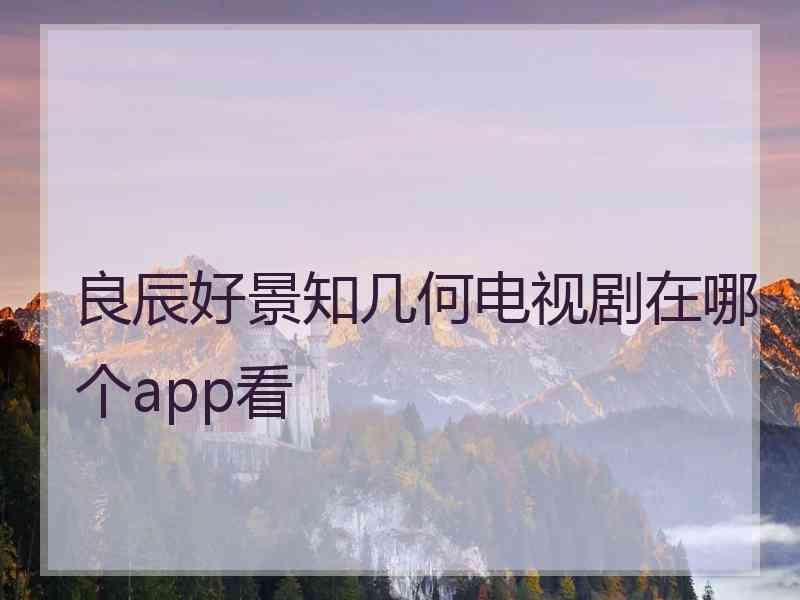 良辰好景知几何电视剧在哪个app看