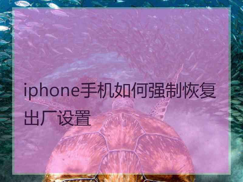 iphone手机如何强制恢复出厂设置