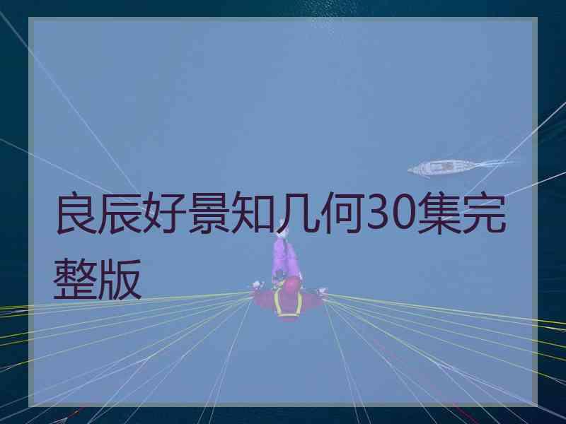 良辰好景知几何30集完整版