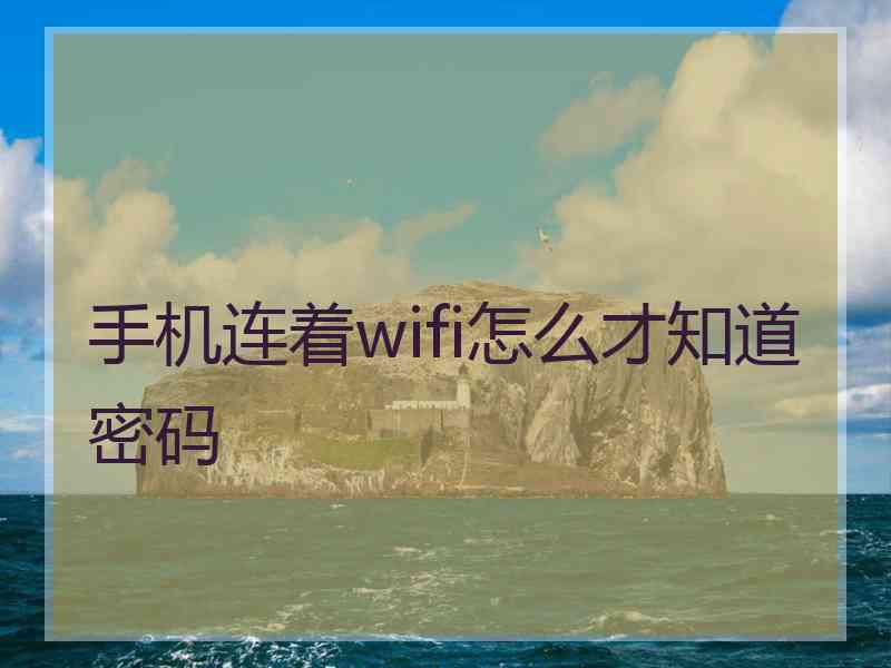 手机连着wifi怎么才知道密码