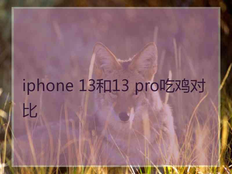 iphone 13和13 pro吃鸡对比