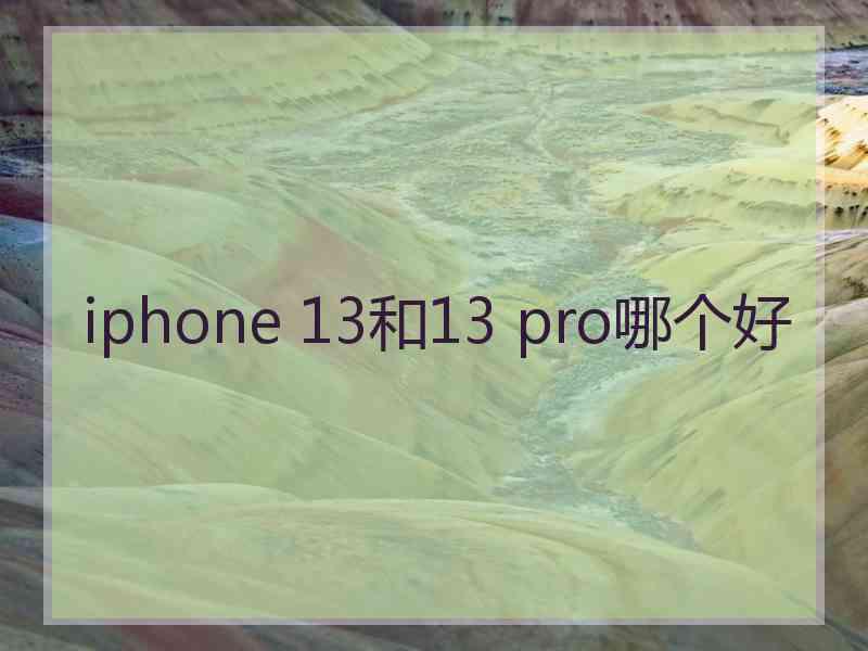 iphone 13和13 pro哪个好