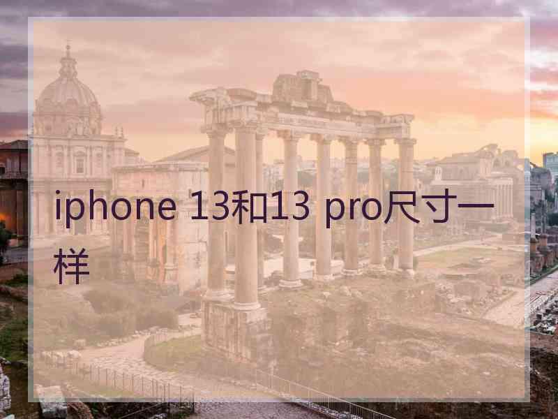 iphone 13和13 pro尺寸一样