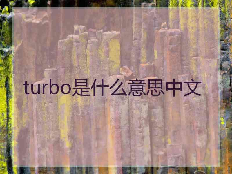 turbo是什么意思中文