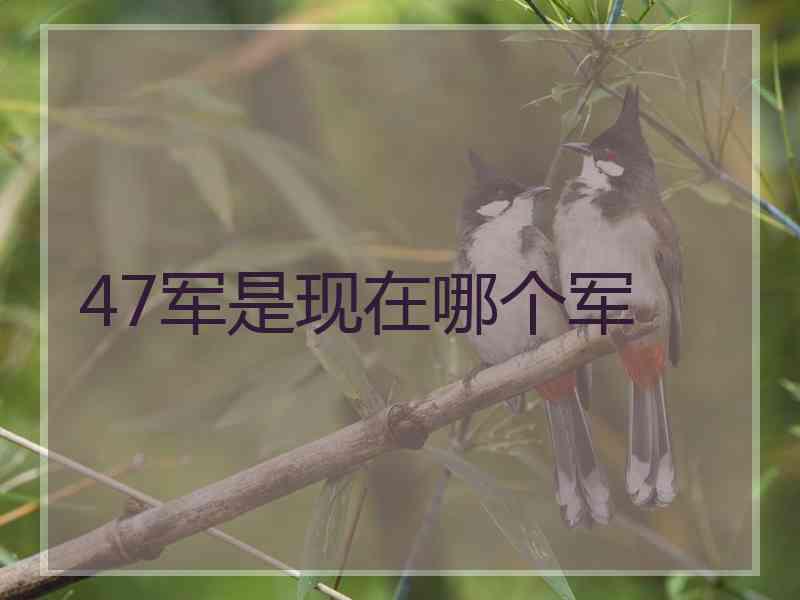 47军是现在哪个军