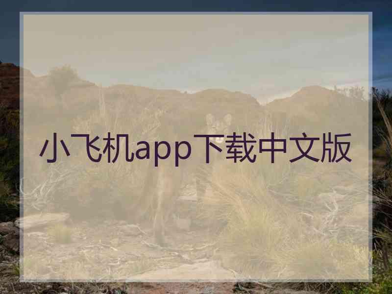 小飞机app下载中文版