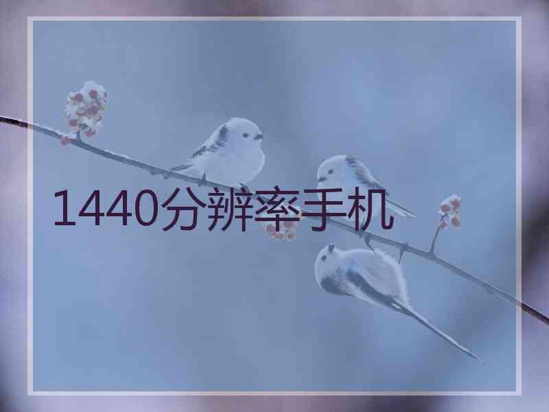 1440分辨率手机