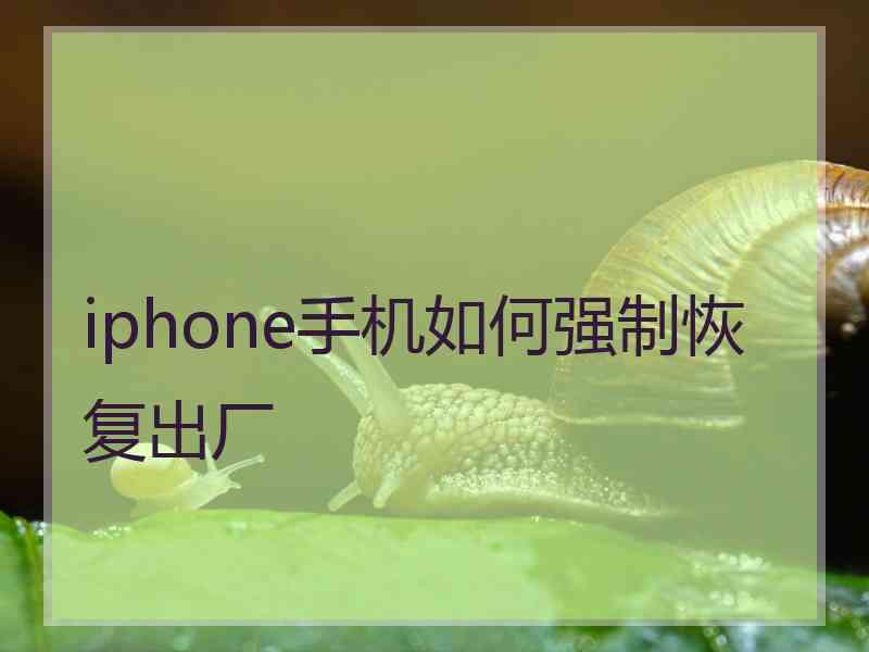 iphone手机如何强制恢复出厂