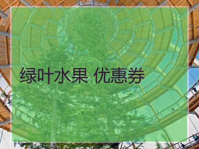 绿叶水果 优惠券