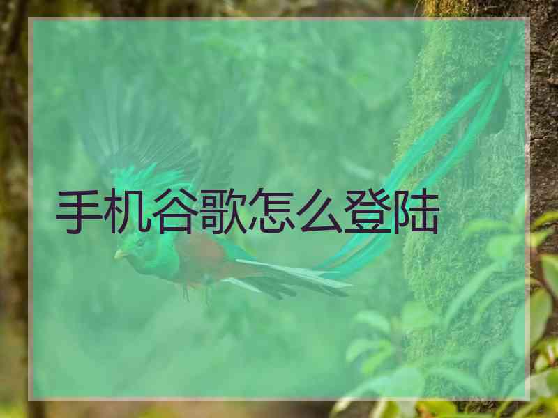 手机谷歌怎么登陆