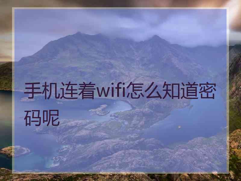 手机连着wifi怎么知道密码呢