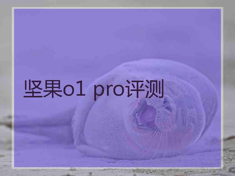 坚果o1 pro评测