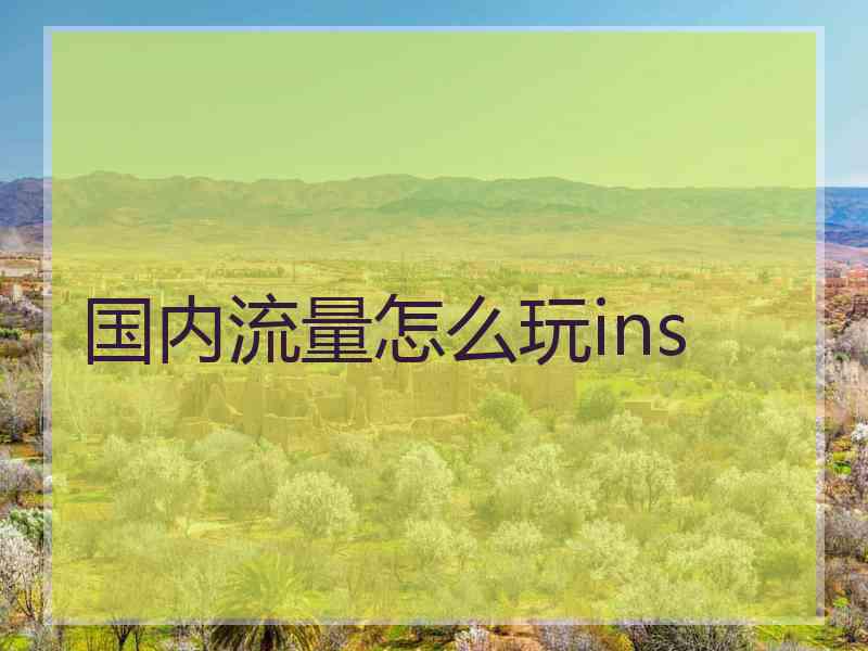 国内流量怎么玩ins