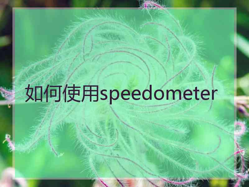 如何使用speedometer