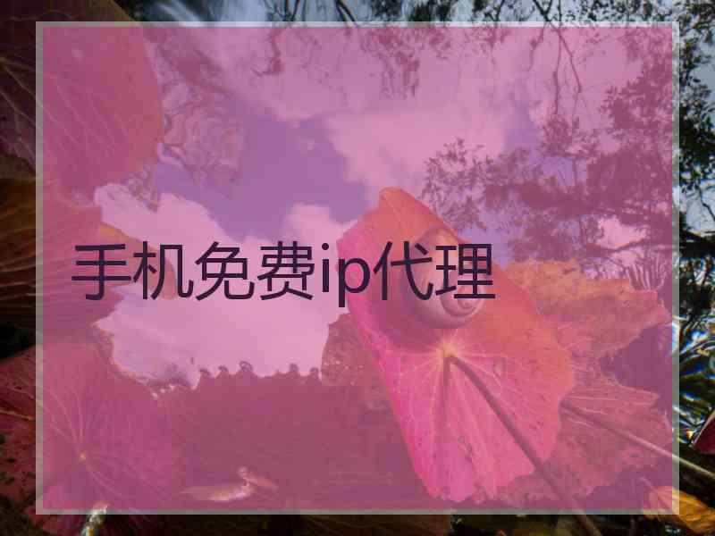 手机免费ip代理