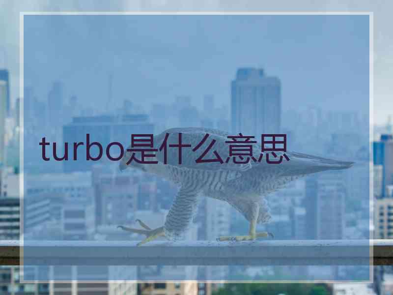 turbo是什么意思