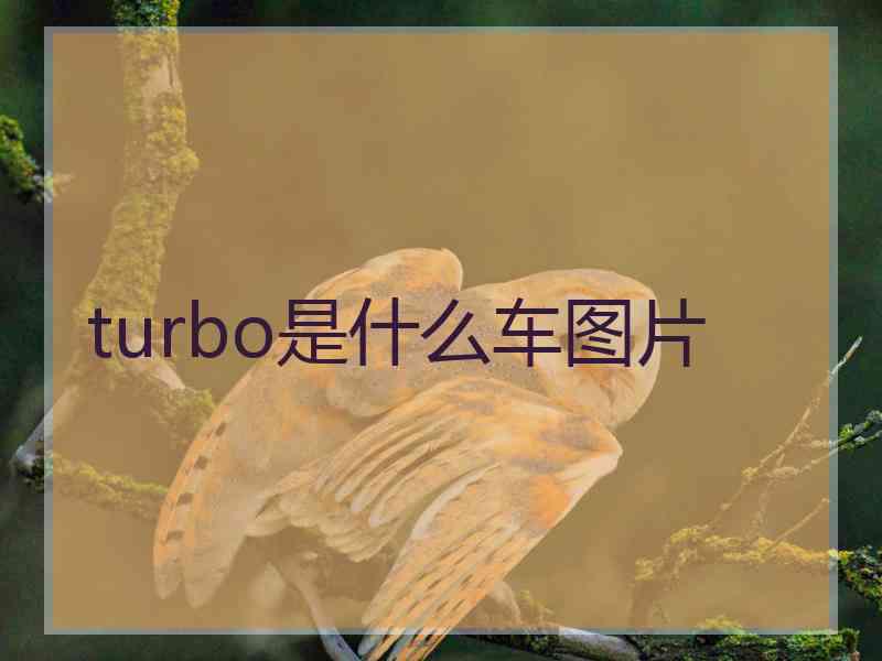 turbo是什么车图片