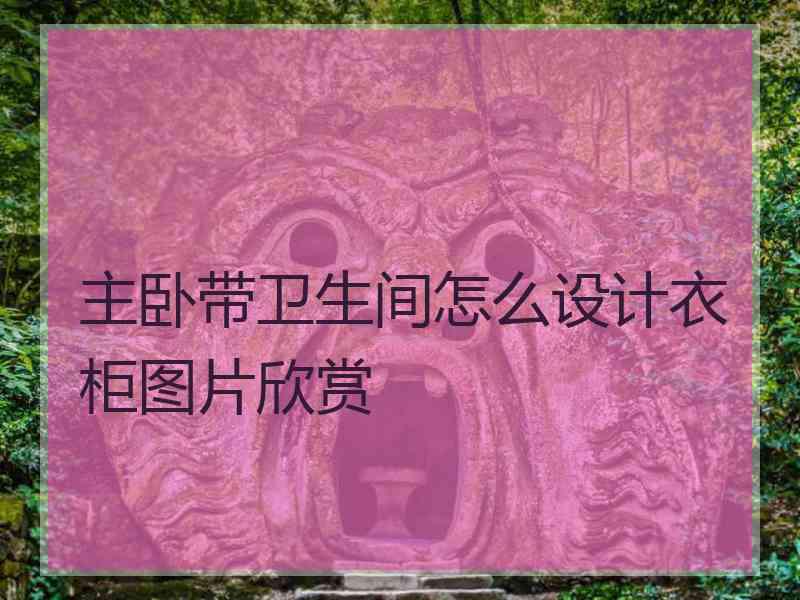 主卧带卫生间怎么设计衣柜图片欣赏