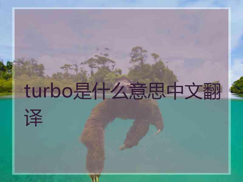 turbo是什么意思中文翻译