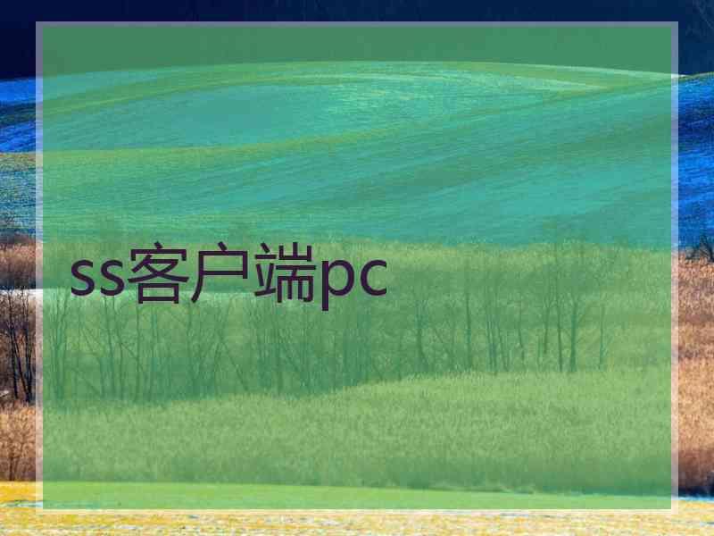 ss客户端pc